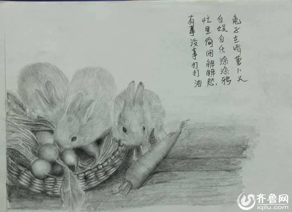夏淑云画铅笔画3