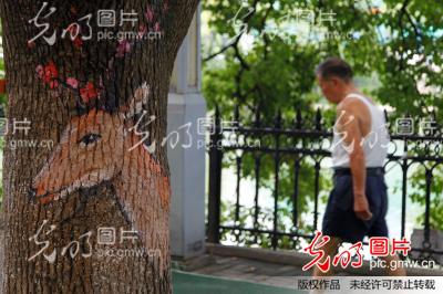 江苏无锡树洞画