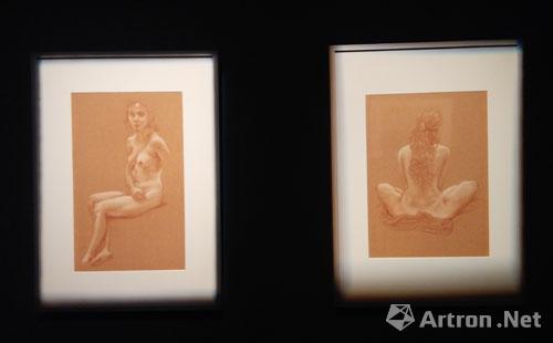 陈丹青色粉人体画作品欣赏