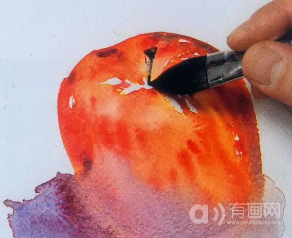 水彩画苹果技法步骤