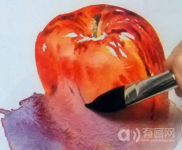 水彩画苹果技法步骤