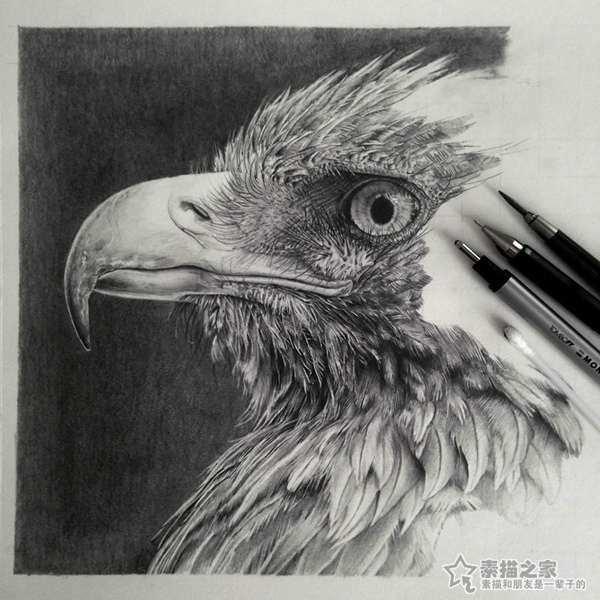 铅笔画图片